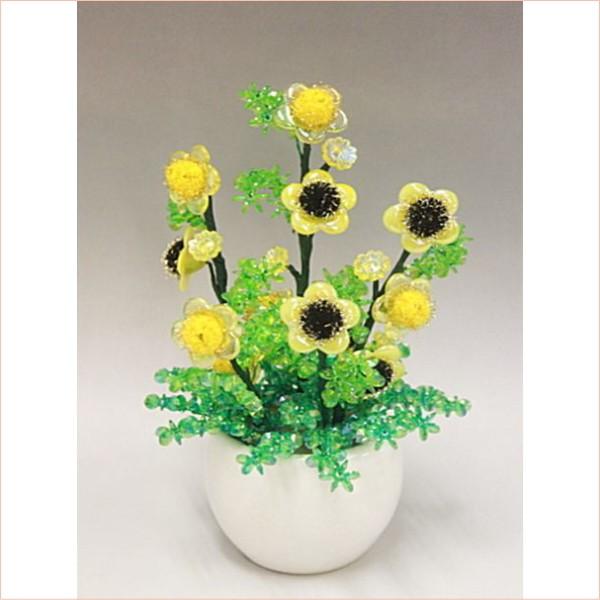 z̉ Ђ܂ wV[Yi~ ~j RvIWir[Y|j bfk