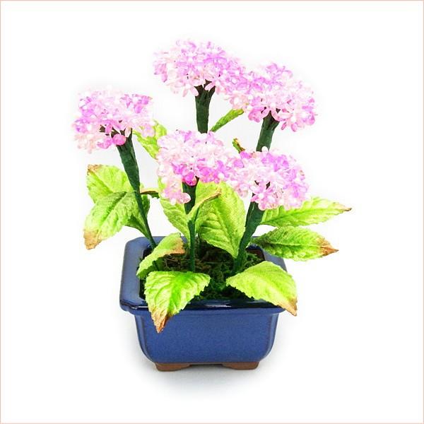 ~ ~j RvIWir[Y~̓Lbg  sN   |̎Rv r