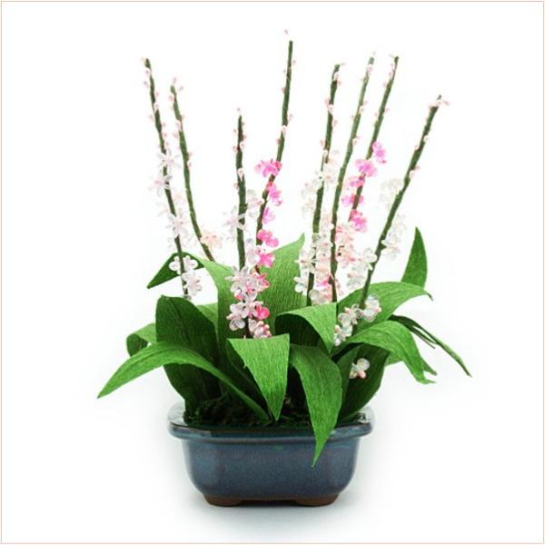 ~ ~j RvIWir[Y~̓Lbg ˂葐