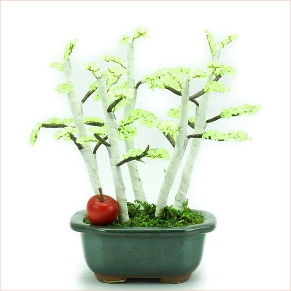 ~ ~j RvIWir[Y~̓Lbg i炩΁j  |̎Rv