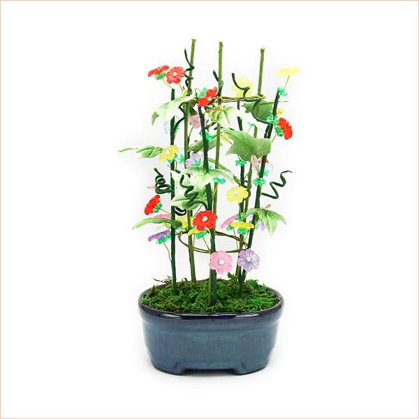 ~ ~j RvIWir[Y~̓Lbg ij  |̎Rv