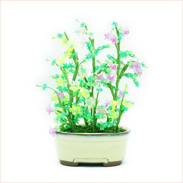 ~ ~j RvIWir[Y~̓Lbg S