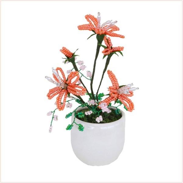 ~ ~j  RvIWir[Y~jԃV[Y