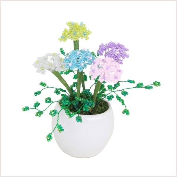 ~ ~j  RvIWir[Y~jԃV[Y