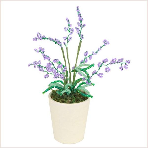 ~ ~j x_[ RvIWir[Y~jԃV[Y