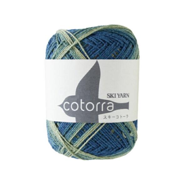 ю SKI cotorra XL[Rg[ tĖю XL[ю sky A |̎Rv