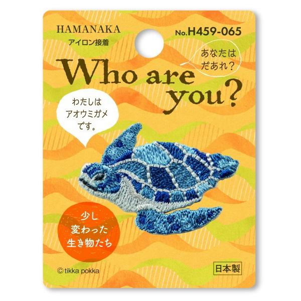 ���b�y�� Who are you ? Part3 �A�I�E�~�K�� H459-065 3���P�� �n�}�i�J hama ��|�̎R�v