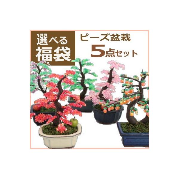 RvIWi r[Y~ 5_Zbg | ~ ~j