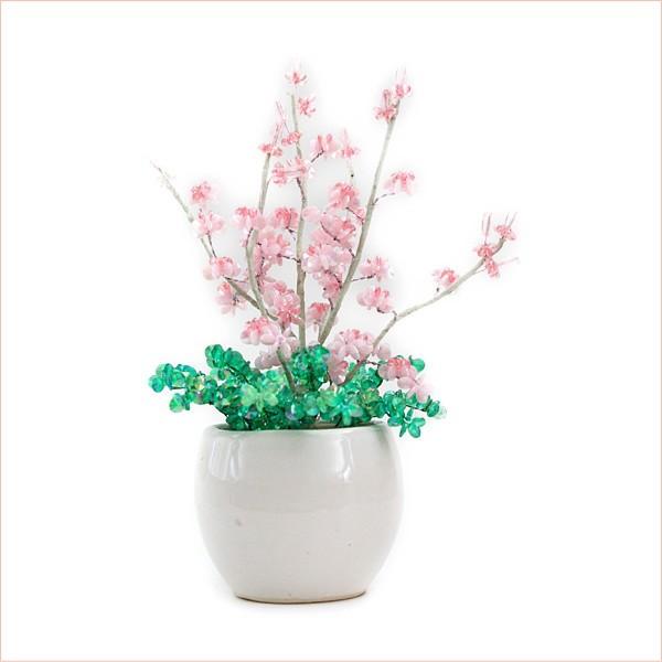 ~ ~j RvIWir[YϗtALbg IVW[no.1sN  |̎Rv