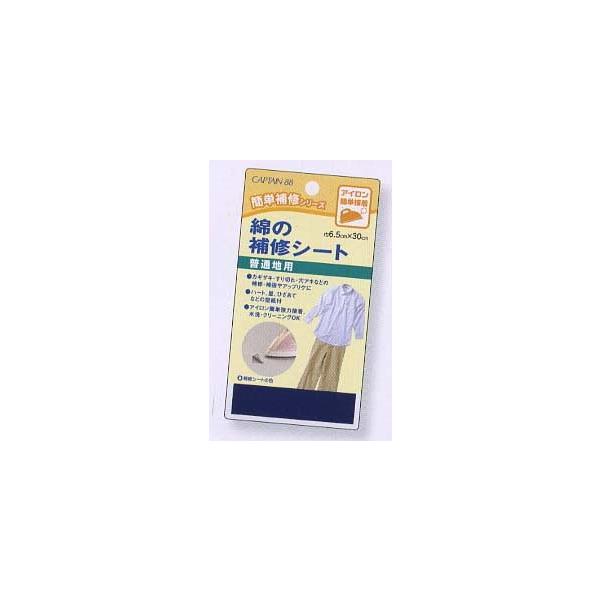 Lve cp110 Ȃ̕CV[gʒnpO1P C ACڒ oCAXe[v