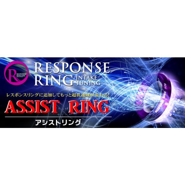 シエクル siecle アシストリング プリウスPHV ZVW52 RR01TP : ハンデル