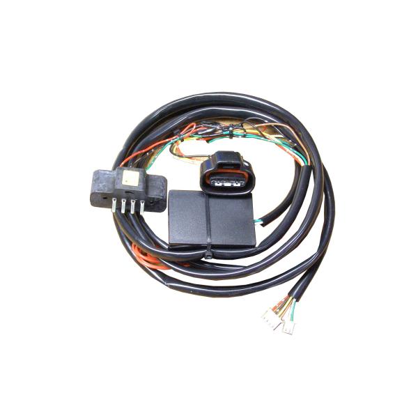 handelondemand2_rsbharness-0031