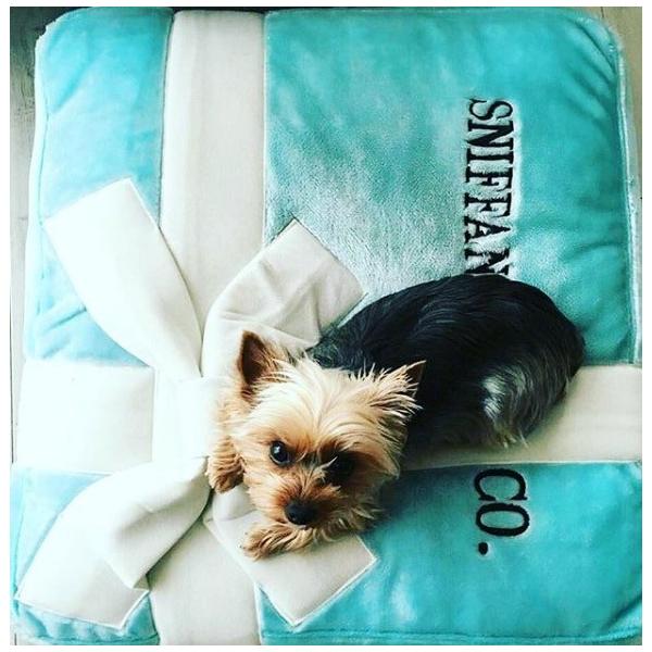 犬用 ドッグベッド クッション Sniffany Co Bed アメリカブランド Dog Diggin Designs ドッグディギンデザインズ Buyee Buyee Japanese Proxy Service Buy From Japan Bot Online