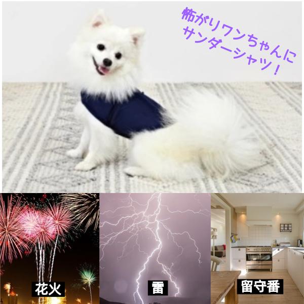サンダーシャツ ベルト 雷 花火 怖がり 留守番 興奮 犬用 不安分離 落ち着かせる犬服 :sander0:海外輸入犬グッズ専門店ハンデル 通販 サンダーシャツ 猫用 S