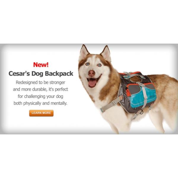 シーザーミラン 犬用バックパック しつけ 運動 規律 かばん 散歩 Cesar Millan Dog Backpack Buyee Buyee Japanese Proxy Service Buy From Japan Bot Online
