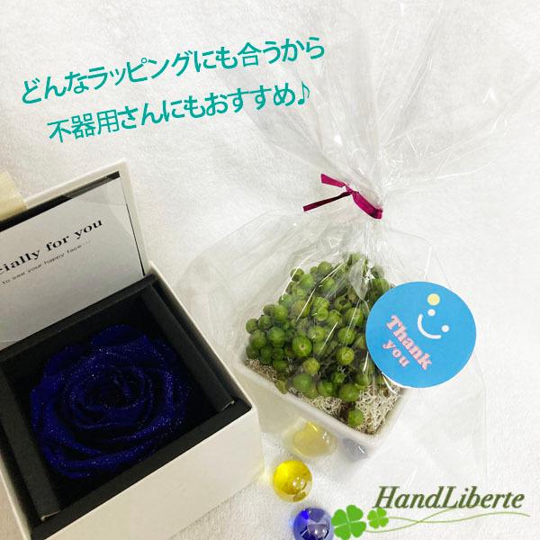ラッピング シール ギフトシール ステッカー ありがとう シール Thank You シール 36枚 結婚式 父の日 ラッピングシール お菓子 ラッピング 感謝 かわいい Buyee Buyee Japanese Proxy Service Buy From Japan Bot Online