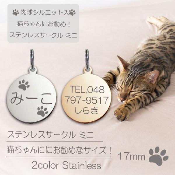 迷子札 肉球 シルエット入 ネコ 猫ちゃん用 ネーム プレート ステンレスサークル ミニ St C17mini Cat ハンドメイドスタジオ Airskyweb 通販 Yahoo ショッピング