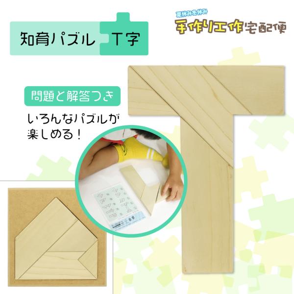 知育パズル T字 木製パズル 木のパズル 知育 知育玩具 子供玩具 遊び おもちゃ 脳トレ T字パズル T型パズル 05 428 夏休み冬休み手作り工作宅配便 通販 Yahoo ショッピング
