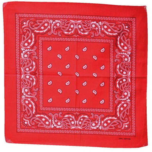 ペイズリーバンダナ / 運動会 イベント ソーラン節 小学生 低学年