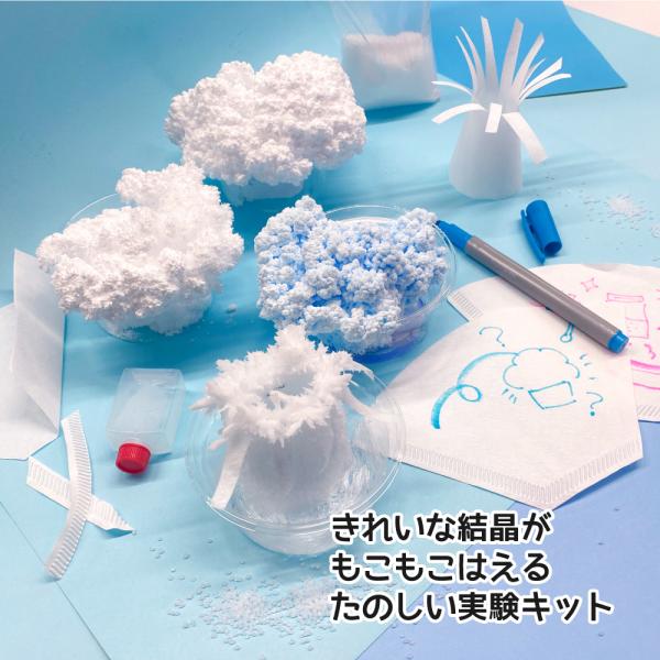 実験キット 小学生 くらべる結晶 知育 自由研究 自由工作 科学工作 理科 実験セット 結晶づくり
