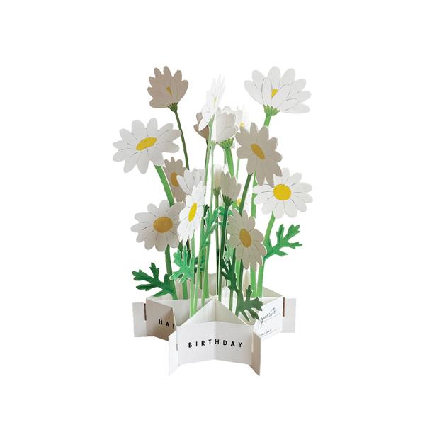 O[eBOCt@o[Xf[u[~OJ[h@KE|32@}[Kbg nY