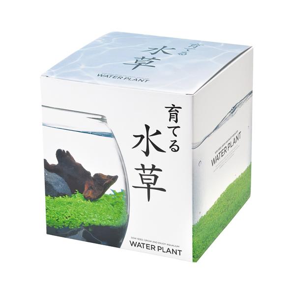 種類：水草サイズ（約）：［パッケージ］幅16cm×奥16cm×高17cm　：［ガラス鉢］高11.5cm×径14.5cm