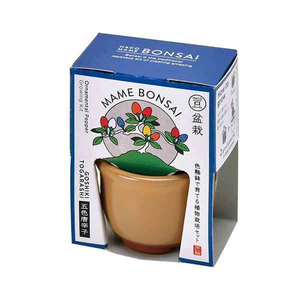 他サイト： 聖新陶芸　HACOMAME盆栽栽培セット　GD965‐4　五色とうがらし ハンズの商品画像