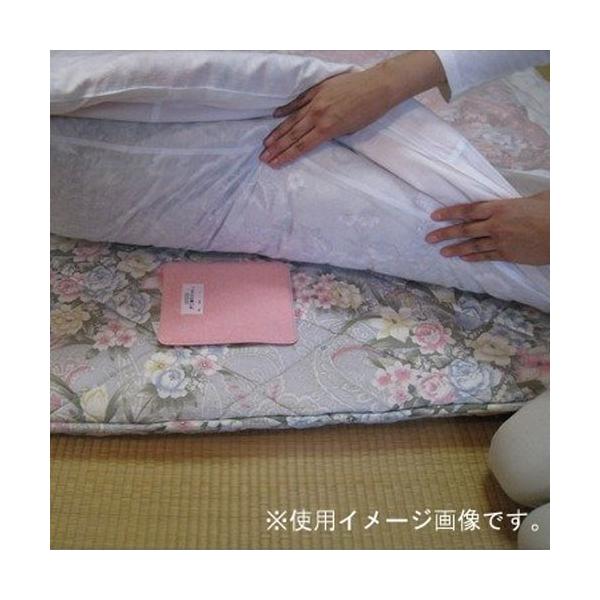 hands-net_4529451000163_3_d_20250613001625