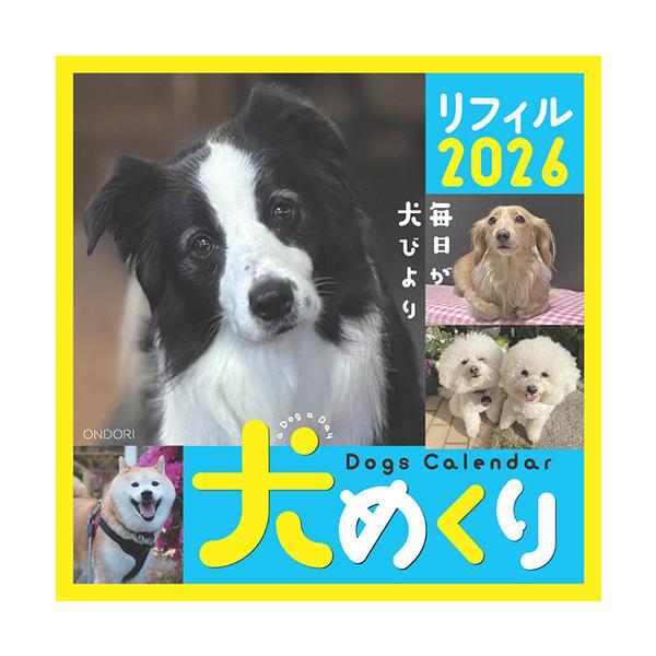犬めくり 2026年 カレンダー リフィル 日めくり 日めくり 犬 いぬ イヌ 人気 レフィル 令和8年 中央経済社 女性 男性 動物 シーオーツー