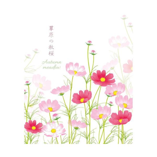 コスモス 便箋の人気商品 通販 価格比較 価格 Com