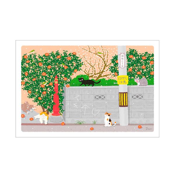 冬 ポストカードの人気商品 通販 価格比較 価格 Com