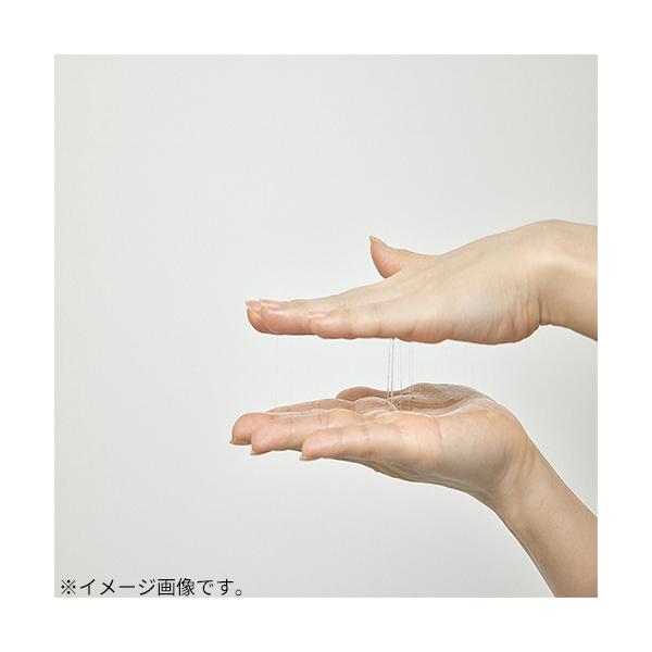 hands-net_8809732914300_3_d_20260319071623