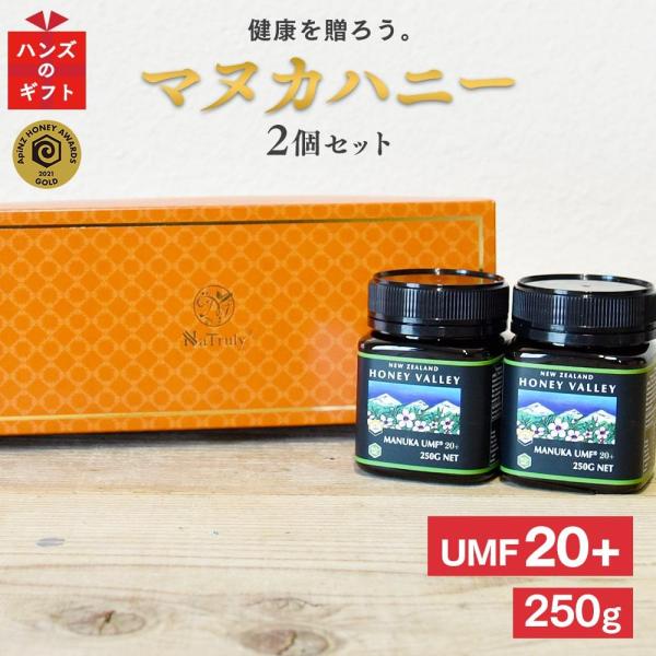 Mtg }kJnj[ UMF20+ 250g×2Zbg MtgZbg MGO829ȏ v~A ݂͂ I v[g 䒆 Ε hV̓ ̓ ̓ j