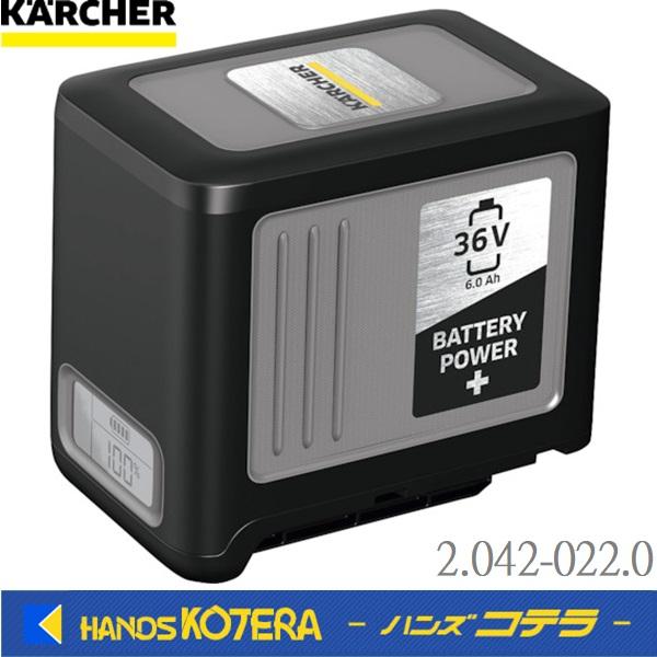 ケルヒャー KARCHER 業務用清掃機アクセサリー バッテリーパワープラス 