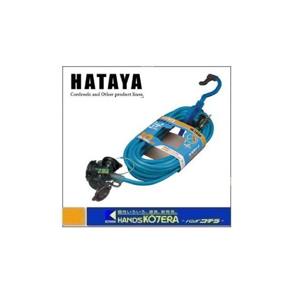 HATAYA ハタヤ 防雨型2P接地付延長コード10m（グレーブルー/イエロー