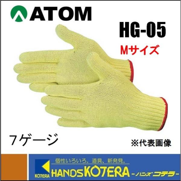 ATOM Ag  ϐؑn @Pu[100@7G@MTCY@ HG-05-M