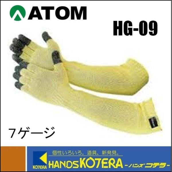 yATOM Agzϐؑn @Pu[nCp[Ow拭@HG-09@