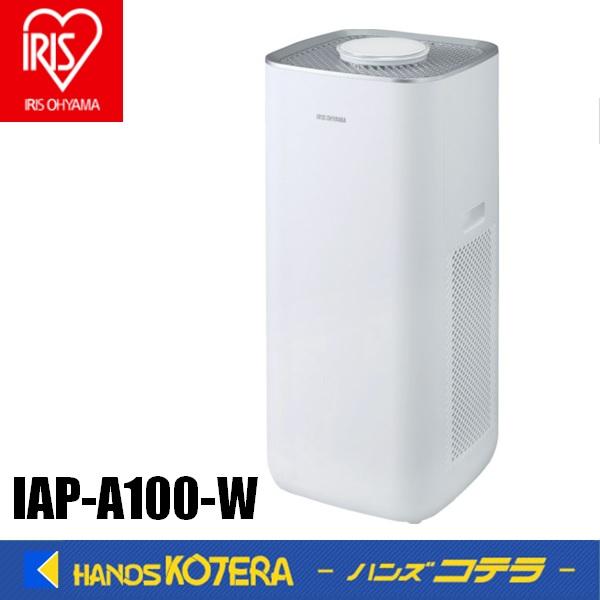 IRIS OHYAMA（アイリスオーヤマ） 代引き不可 IRIS 517133 単機能空気