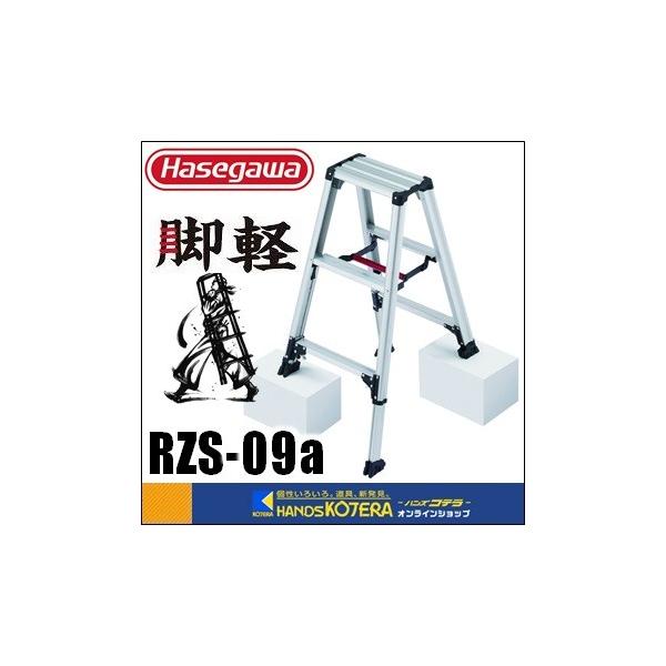RZS-09aの人気商品・通販・価格比較 - 価格.com RZS-09aの人気商品・通販・価格比較 - 価格.com