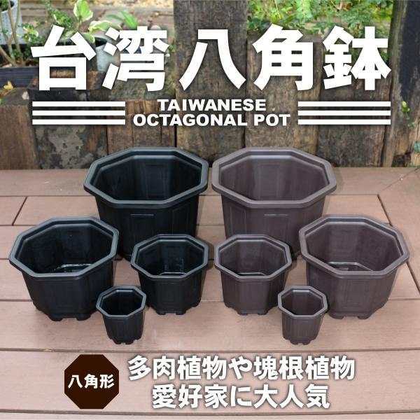 植木鉢 台湾八角鉢 鉢 八角形