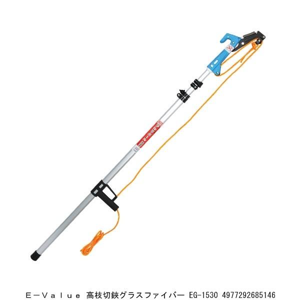 E-VALUE }OXt@Co[ EG-1530 i4046633j ^֑ 敪A sEԕis