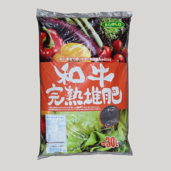 GR an엿@ROL@i4128494j@  ʏz