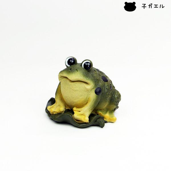 I[ig Aj} JG r URSUT i5032644j  ʏz