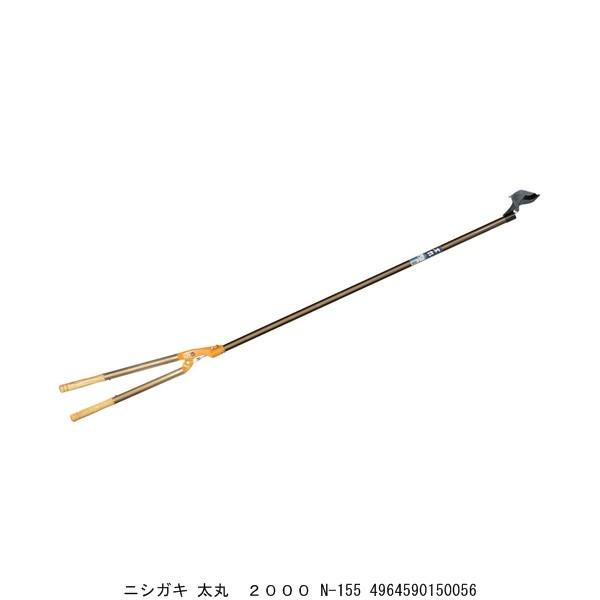 jVKL  2000 N-155 i5041953j ^֑ 敪A sEԕis