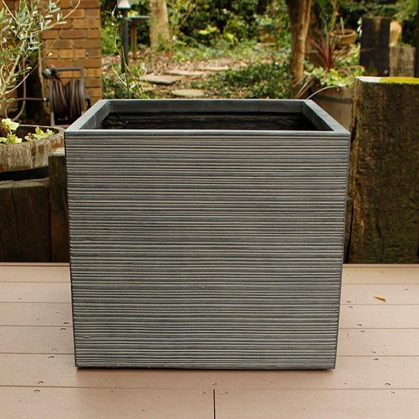 Aؔ t@Co[NC XgCv p^ 50×46 ubN  ^Eꕨ