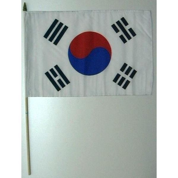 @؍@_tTCY FROcm×STcm _̒FUOcm@i6662501j@  ʏz