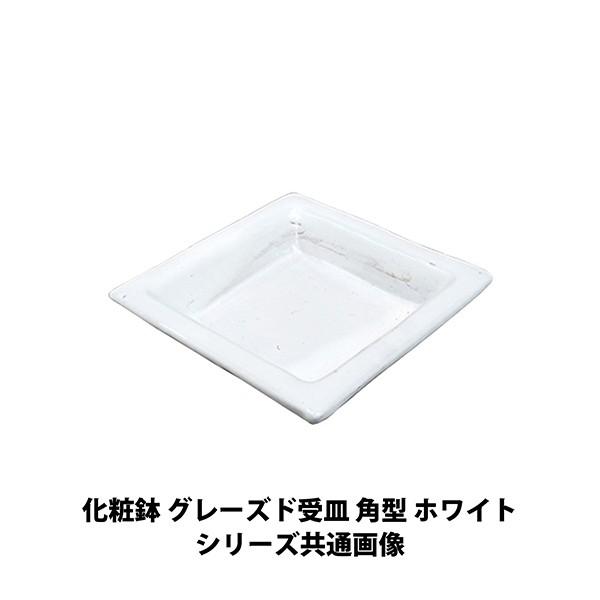 白 陶器 プランター 四角の人気商品・通販・価格比較 - 価格.com 白 陶器 プランター 四角の人気商品・通販・価格比較 - 価格.com