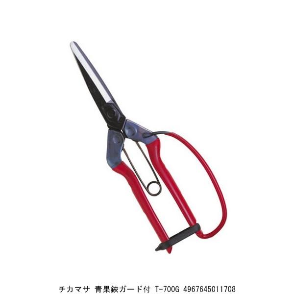 `J}T K[ht T-700G i7084811j 敪A sEԕis