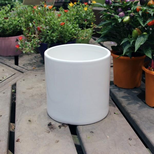 陶器鉢 植木鉢 ホワイトポット丸型 Lサイズ 直径18cm×高さ18cm