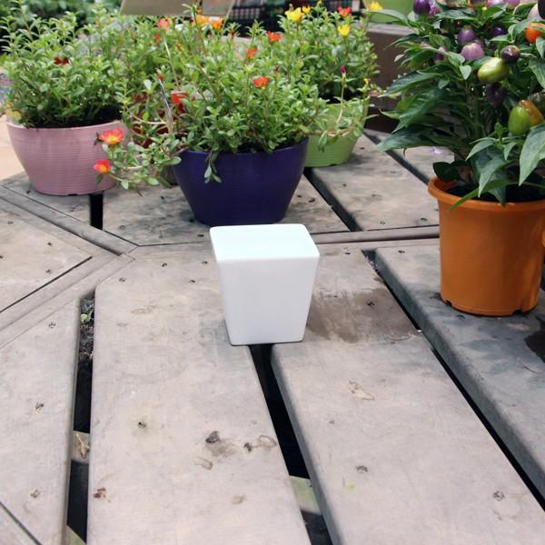 픫 Aؔ zCg|bgXNGA^ STCY a9cm×9cm p